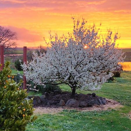 New Horizons Farm Stay Smeaton 外观 照片